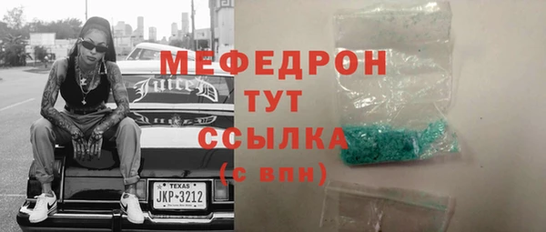 spice Богородицк