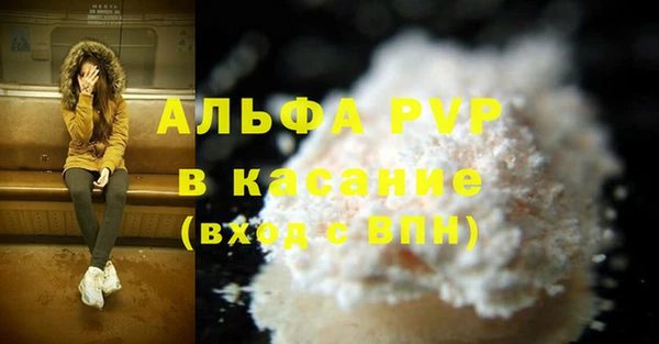 spice Богородицк