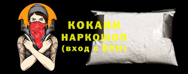 spice Богородицк