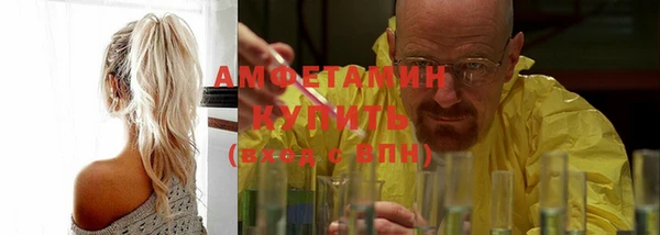 spice Богородицк