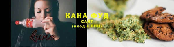 spice Богородицк