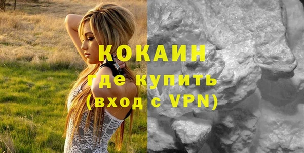 spice Богородицк
