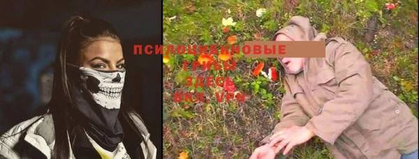 ALPHA PVP Богородск