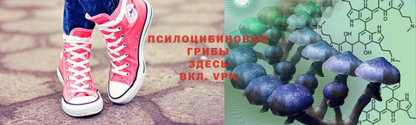 ALPHA PVP Богородск