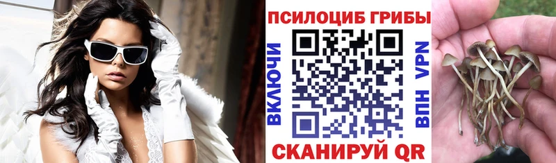 Галлюциногенные грибы прущие грибы  ОМГ ОМГ рабочий сайт  Северская 